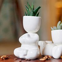 набор для выращивания eco йог в Воронеже