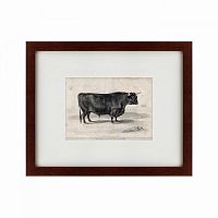 картина: a west highland bull, 1840 в Воронеже