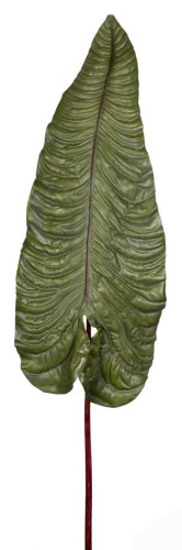 декор alocasia в Воронеже