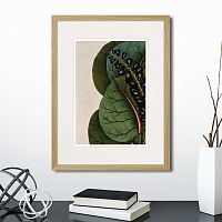 картина: exotic plants of the world №7, 1815г. в Воронеже