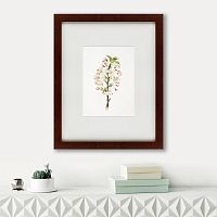 картина: pear tree flowers (pyrus calleryana), 1830 в Воронеже
