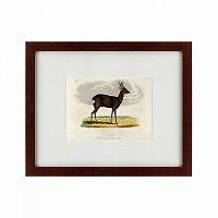 картина: a roebuck, 1830 в Воронеже