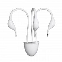 бра lightstar cigno collo wt 751636 в Воронеже