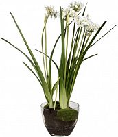 декор allium в Воронеже