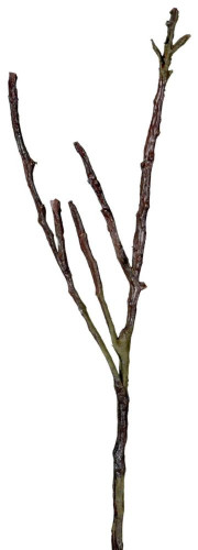 декор dry branches в Воронеже