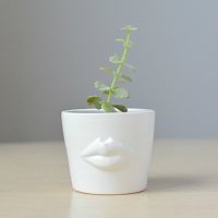 набор для выращивания eco мини-кашпо «губы» в Воронеже