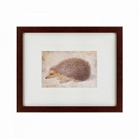картина: a hedgehog, 1584 в Воронеже