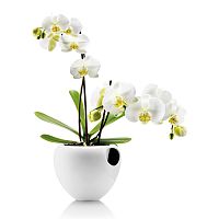 горшок для орхидеи orchid pot белый в Воронеже