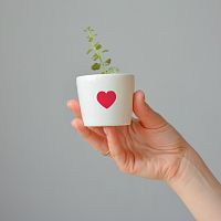 набор для выращивания eco мини-кашпо «сердце» в Воронеже