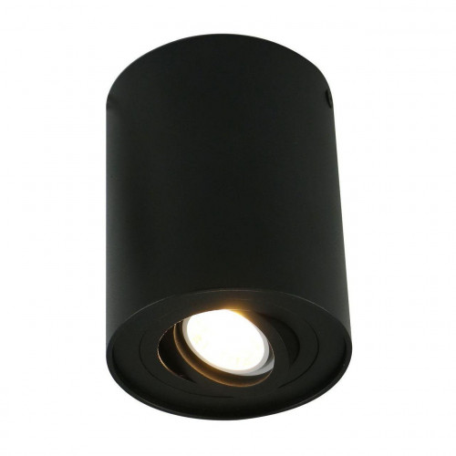 потолочный светильник arte lamp a5644pl-1bk в Воронеже