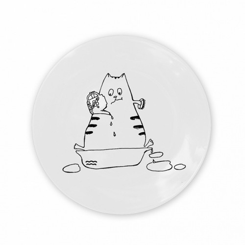 тарелка кот-водолей в Воронеже