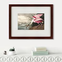 картина: roseate spoonbill, 1827 в Воронеже