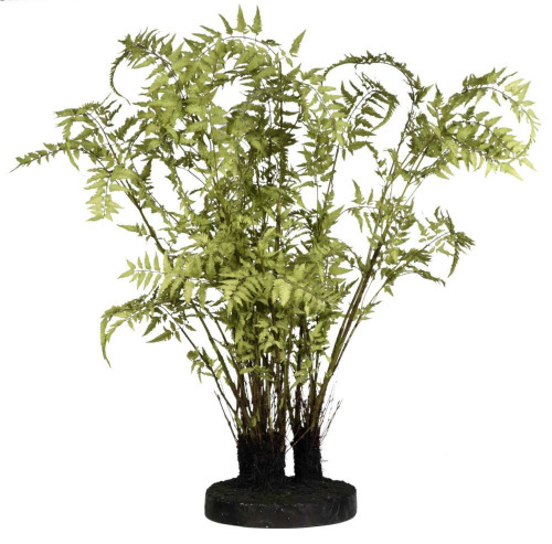 декор ferns в Воронеже