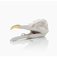 шкатулка для украшений bird skull (белый) в Воронеже