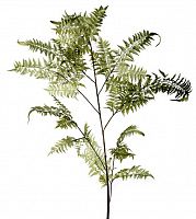 декор fl12056 (giant fern) в Воронеже