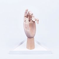органайзер для украшений the hand белый в Воронеже