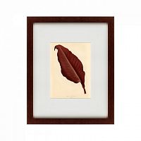 картина: the dark red leaf, 1881 в Воронеже