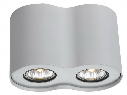 потолочный светильник arte lamp falcon a5633pl-2wh в Воронеже