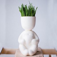 набор для выращивания eco романтик в Воронеже