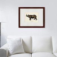 картина: rhinoceros ancienne gravure, 1849 в Воронеже