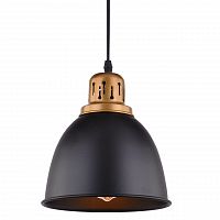 подвесной светильник arte lamp eurica a4245sp-1bk в Воронеже