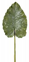 декор giant taro leaf в Воронеже
