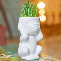 горшок для растений eco игнорик в Воронеже