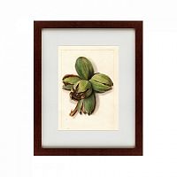 картина: watercolor collection, drawing №1, 1909 в Воронеже