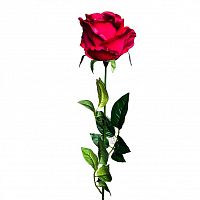 роза бордовая 71 см (24) в Воронеже