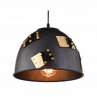 подвесной светильник arte lamp eurica a6023sp-1bk в Воронеже