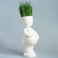 набор для выращивания eco мама в Воронеже