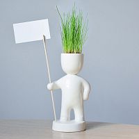 набор для выращивания eco знаменосец в Воронеже