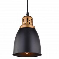 подвесной светильник arte lamp eurica a4248sp-1bk в Воронеже