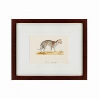 картина: an ocelot, 1801 в Воронеже