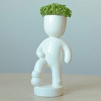 набор для выращивания eco футболист в Воронеже