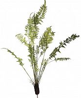 декор fern plant в Воронеже