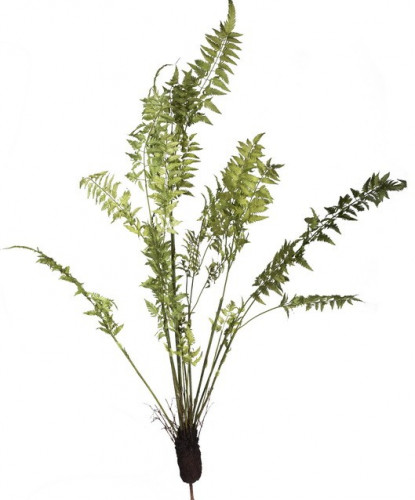 декор fern plant в Воронеже