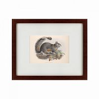 картина: the squirrel, 1879 в Воронеже