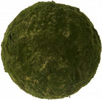 декор moss sun в Воронеже