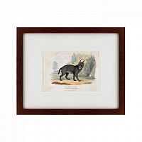 картина: a caracal or lynx, 1830 в Воронеже