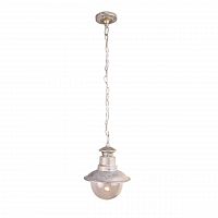 уличный подвесной светильник arte lamp amsterdam a1523so-1wg в Воронеже