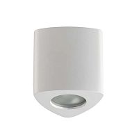 потолочный светильник odeon light aquana 3574/1c в Воронеже